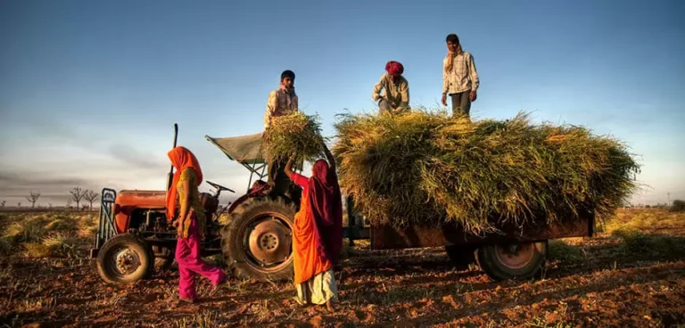 Farmer-suicides-Indian-farmers-Indian-news-India-1