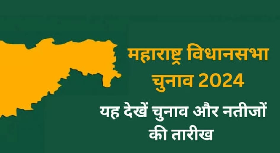 WhatsApp Image 2024-11-12 at 8.07.42 AM