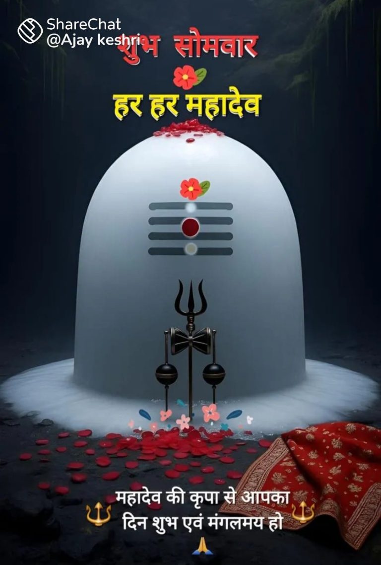 प्रदोषकाल (7:22–9:23 PM) में विधिपूर्वक पूजा और कथा पढ़े, विशेष उपाय करें—विशेषतः बेलपत्र, पंचामृत, बिल्वपत्र आदि से शिवजी की पूजा अति फलदायक है।