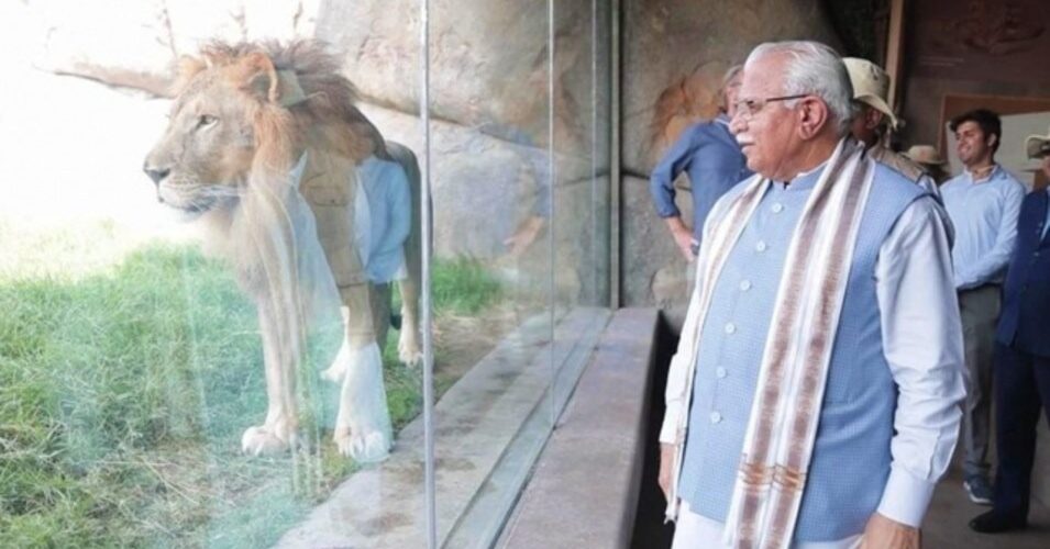 केंद्रीय मंत्री मनोहर लाल और भूपेन्द्र यादव ने गुरुग्राम ने प्रस्तावित जंगल सफारी का निरीक्षण