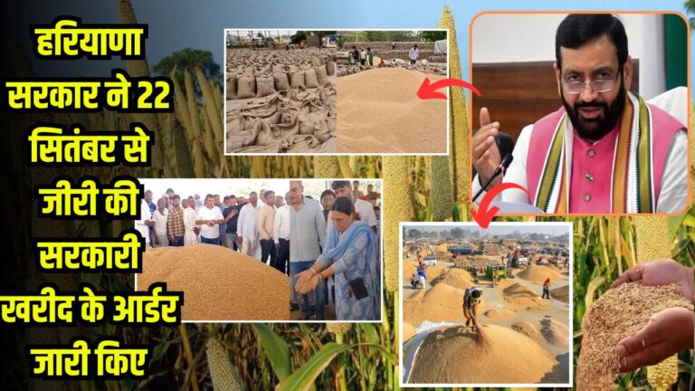 हरियाणा सरकार ने 22 सितंबर से जीरी की सरकारी खरीद के आर्डर जारी किए