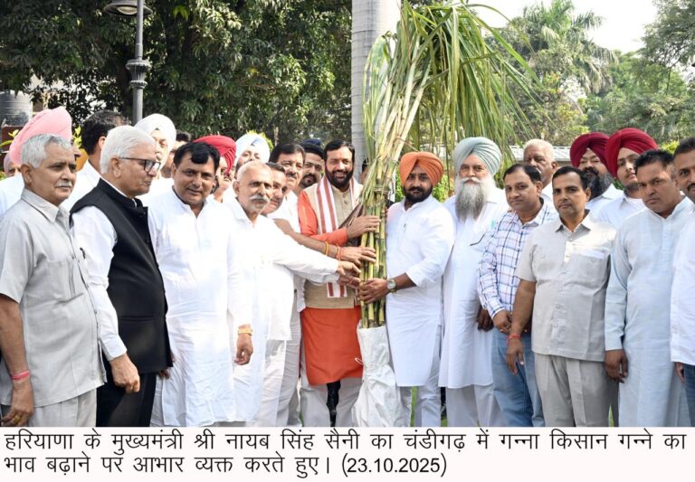 WhatsApp Image 2025-10-23 at 7.13.48 PM