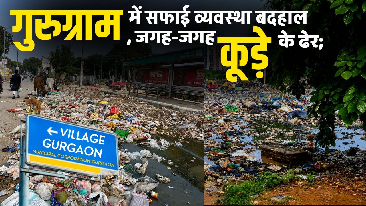 गुरुग्राम में सफाई व्यवस्था बदहाल, जगह-जगह कूड़े के ढेर; करोड़ों के सफाई ठेकों पर उठे सवाल